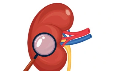 Kidney with magnifying glass. Diagnosis, exam of internal organ. Renal diseases Kidney with magnifying glass. Diagnosis, exam of internal organ. Renal diseases