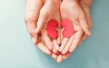 böbrek sağlığını korumak için ne yapmalıyım2 Adult and child holding kidney shaped paper, world kidney day, National Organ Donor Day, charity donation concept
