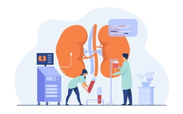 böbreklerin görevleri Doctors conducting dialysis procedure for kidney treatment. Vector illustration for patient hemodialysis, healthcare, blood transfusion, internal injection, kidney disease concept