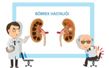 ülkemizde böbrek yetmezliği ülkemizde böbrek yetmezliği